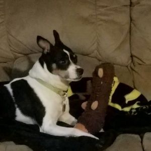 Meet your Posher, Jonathan